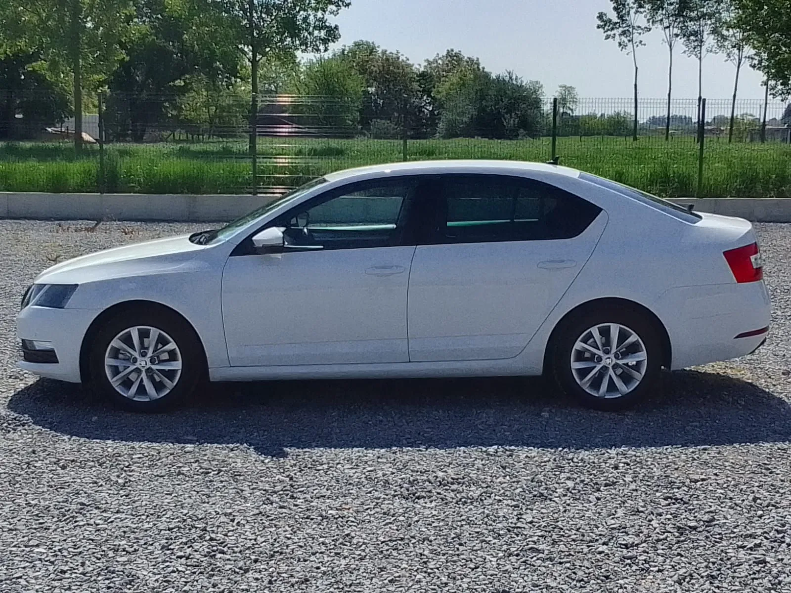 Škoda Octavia 1.6Tdi/DsG Image 9